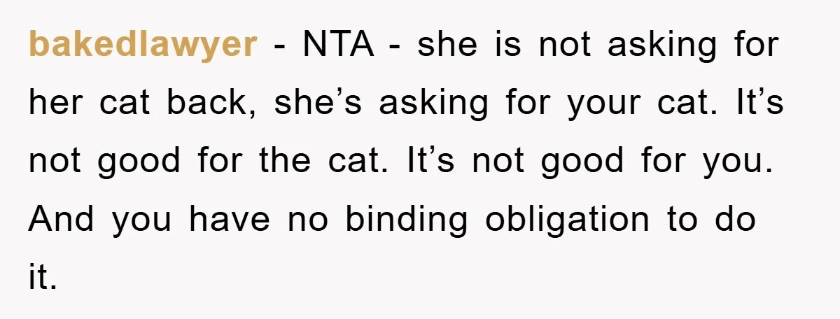 bakedlawyer − NTA - she is not asking for her cat back, she’s asking for your cat. It’s not good for the cat. It’s not good for you. And you...