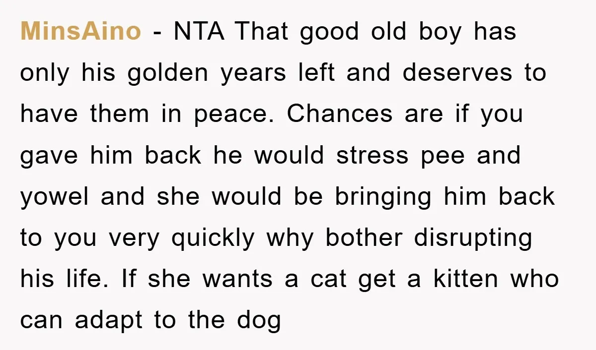 MinsAino − NTA That good old boy has only his golden years left and deserves to have them in peace. Chances are if you gave him back he would stress...