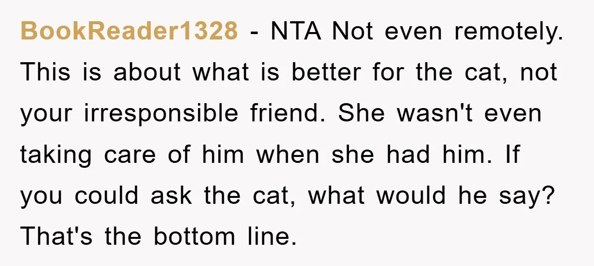 BookReader1328 − NTA Not even remotely. This is about what is better for the cat, not your irresponsible friend. She wasn't even taking care of him when she had him....