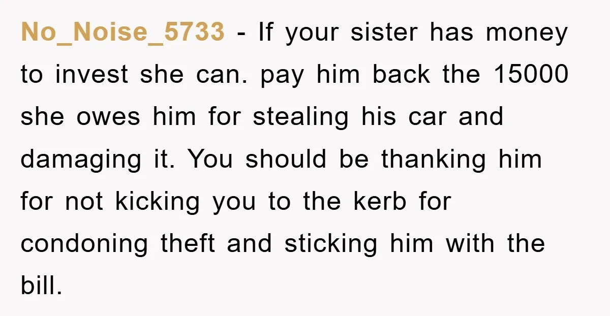 No_Noise_5733 − If your sister has money to invest she can. pay him back the 15000 she owes him for stealing his car and damaging it. You should be thanking...