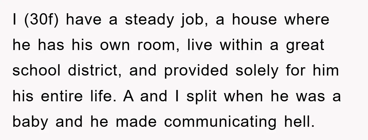 I (30f) have a steady job, a house where he has his own room, live within a great school district, and provided solely for him his entire life. A and...