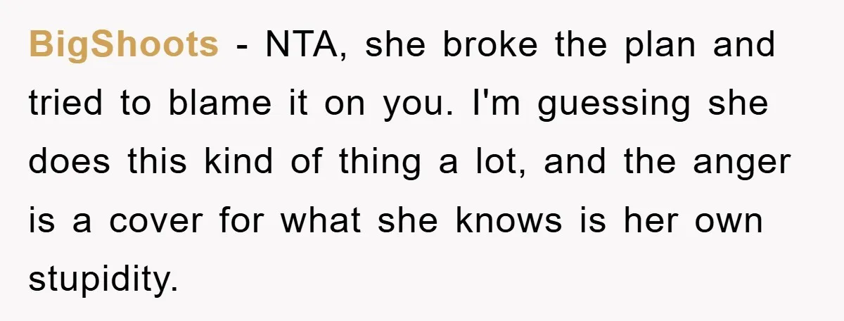 BigShoots − NTA, she broke the plan and tried to blame it on you. I'm guessing she does this kind of thing a lot, and the anger is a cover...