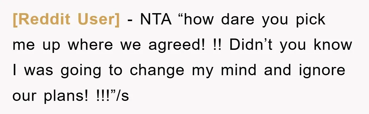 [Reddit User] − NTA “how dare you pick me up where we agreed! !! Didn’t you know I was going to change my mind and ignore our plans! !!!”/s