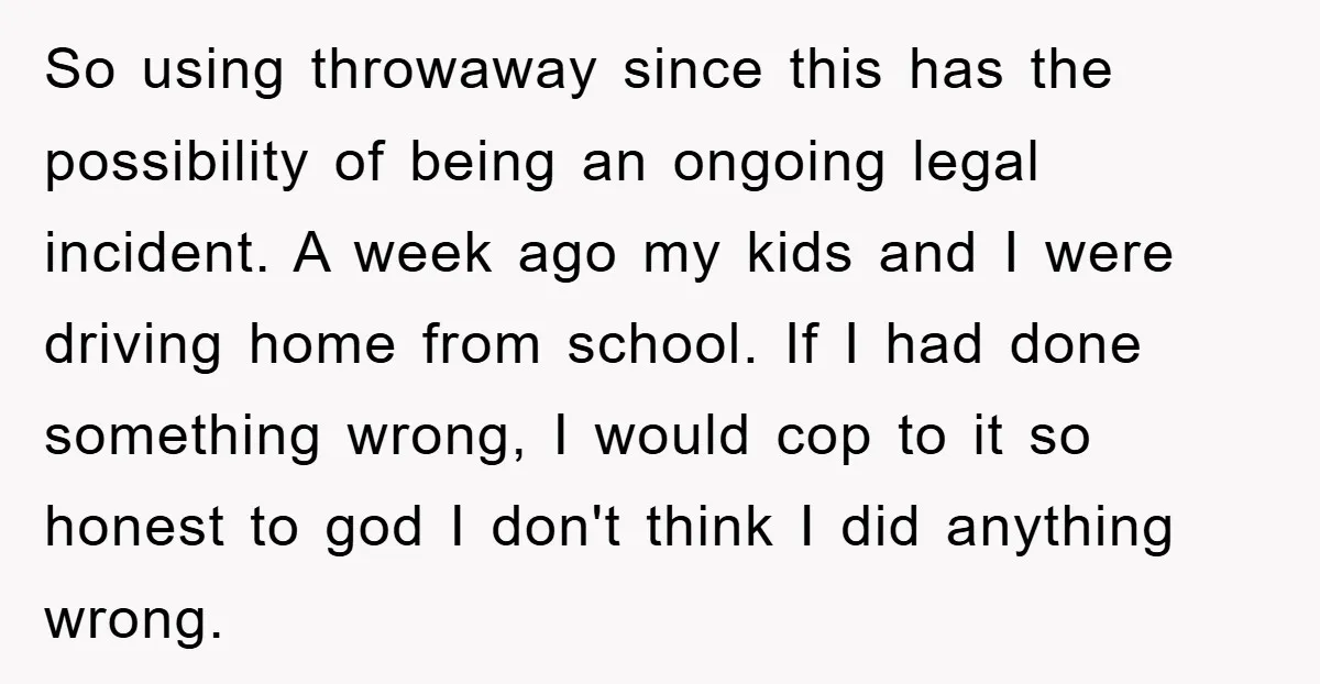 So using throwaway since this has the possibility of being an ongoing legal incident. A week ago my kids and I were driving home from school. If I had done...