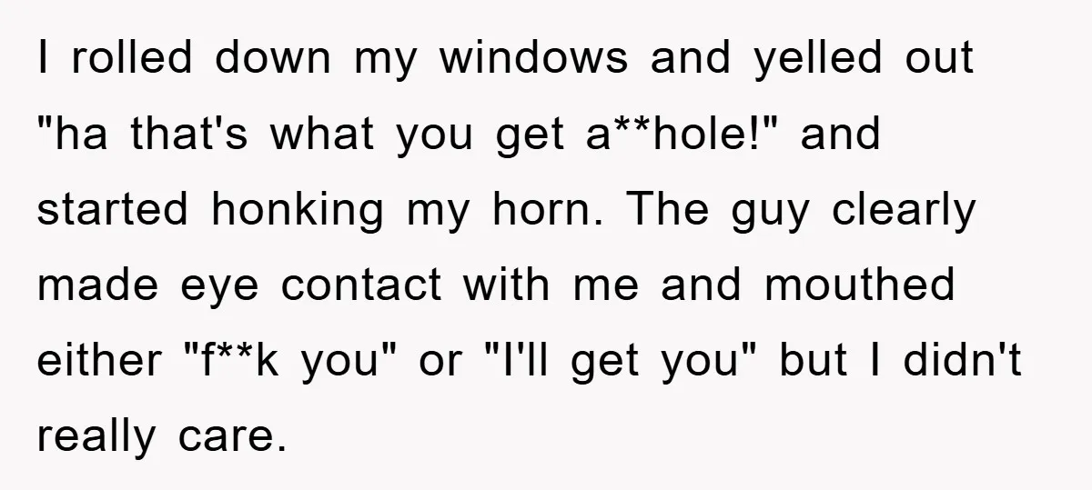 I rolled down my windows and yelled out "ha that's what you get a**hole!" and started honking my horn. The guy clearly made eye contact with me and mouthed either...