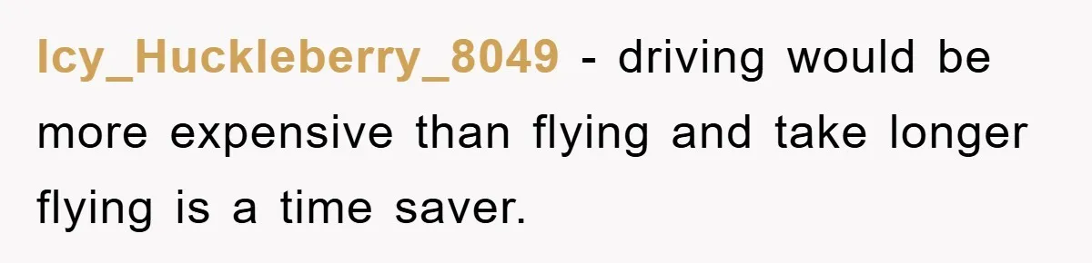 Icy_Huckleberry_8049 − driving would be more expensive than flying and take longer flying is a time saver.