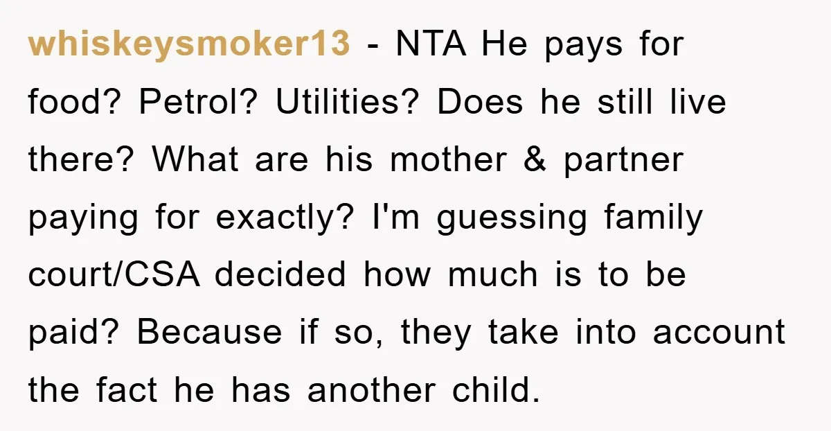 whiskeysmoker13 − NTA He pays for food? Petrol? Utilities? Does he still live there? What are his mother & partner paying for exactly? I'm guessing family court/CSA decided how much...