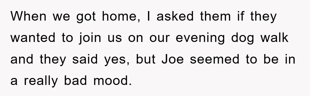 When we got home, I asked them if they wanted to join us on our evening dog walk and they said yes, but Joe seemed to be in a really...