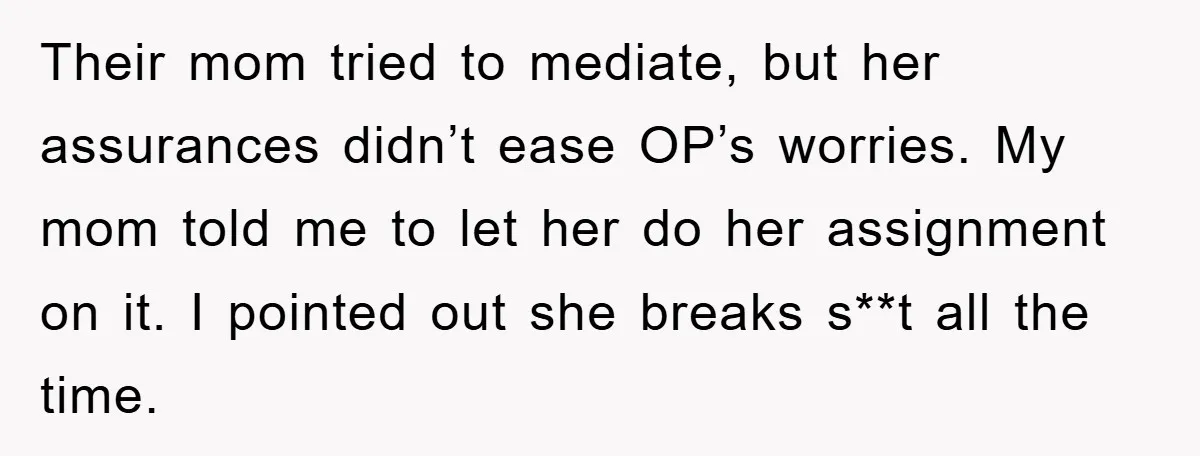 Their mom tried to mediate, but her assurances didn’t ease OP’s worries. My mom told me to let her do her assignment on it. I pointed out she breaks s**t...