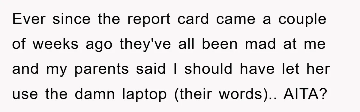 Ever since the report card came a couple of weeks ago they've all been mad at me and my parents said I should have let her use the damn laptop...
