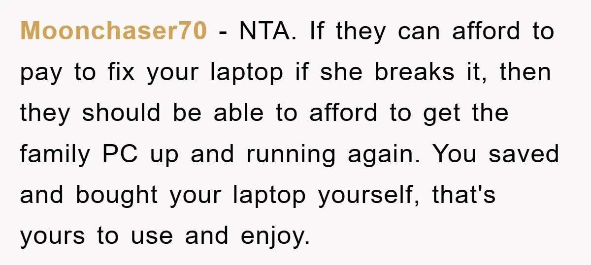 Moonchaser70 − NTA. If they can afford to pay to fix your laptop if she breaks it, then they should be able to afford to get the family PC up...