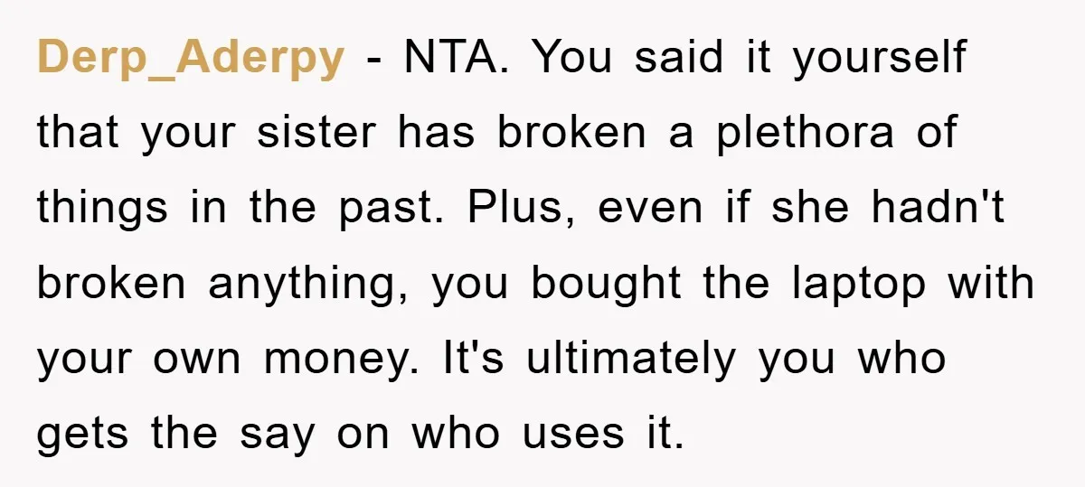 Derp_Aderpy − NTA. You said it yourself that your sister has broken a plethora of things in the past. Plus, even if she hadn't broken anything, you bought the laptop...