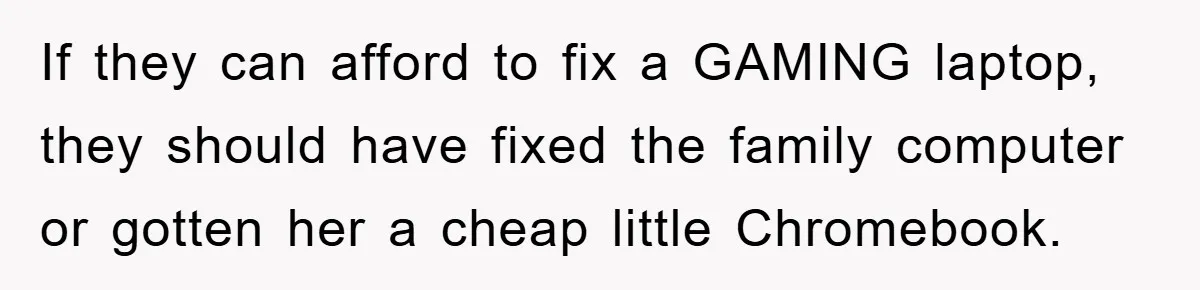 If they can afford to fix a GAMING laptop, they should have fixed the family computer or gotten her a cheap little Chromebook.