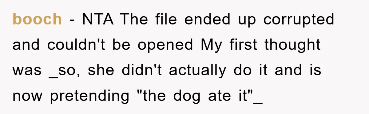 booch − NTA The file ended up corrupted and couldn't be opened My first thought was _so, she didn't actually do it and is now pretending "the dog ate it"_