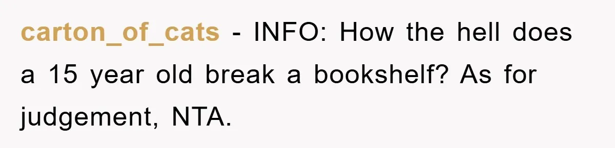 carton_of_cats − INFO: How the hell does a 15 year old break a bookshelf? As for judgement, NTA.
