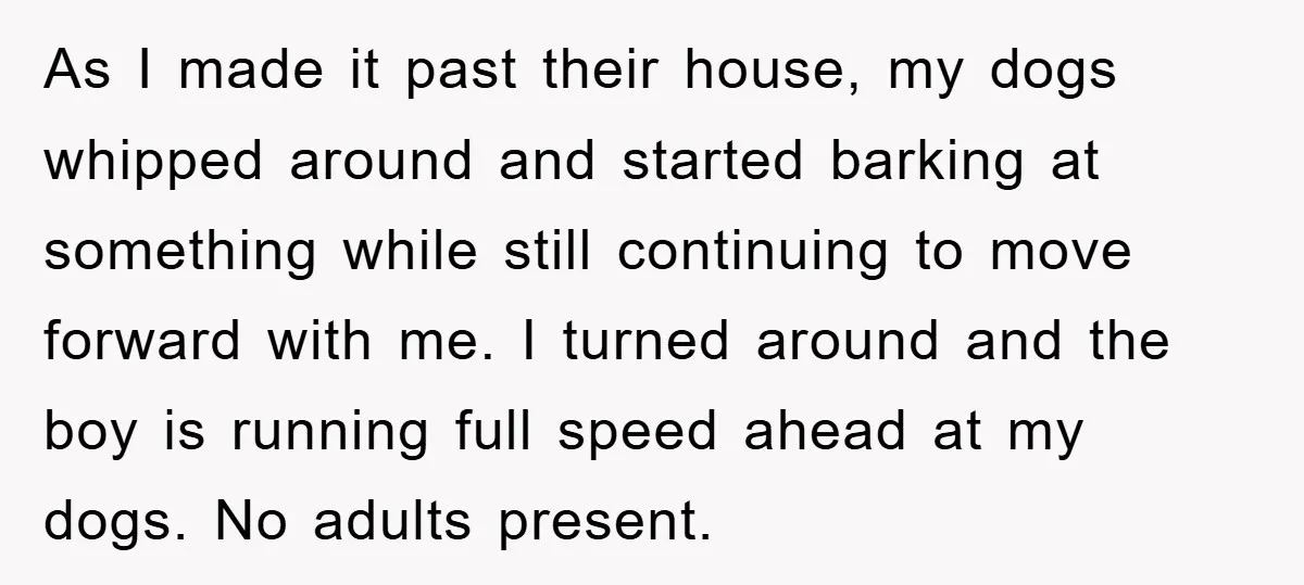 As I made it past their house, my dogs whipped around and started barking at something while still continuing to move forward with me. I turned around and the boy...