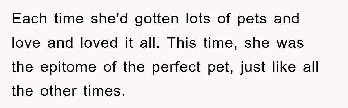 Each time she'd gotten lots of pets and love and loved it all. This time, she was the epitome of the perfect pet, just like all the other times.