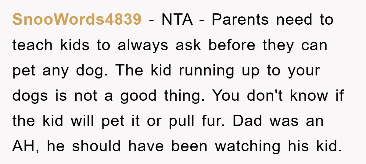 SnooWords4839 − NTA - Parents need to teach kids to always ask before they can pet any dog. The kid running up to your dogs is not a good thing....