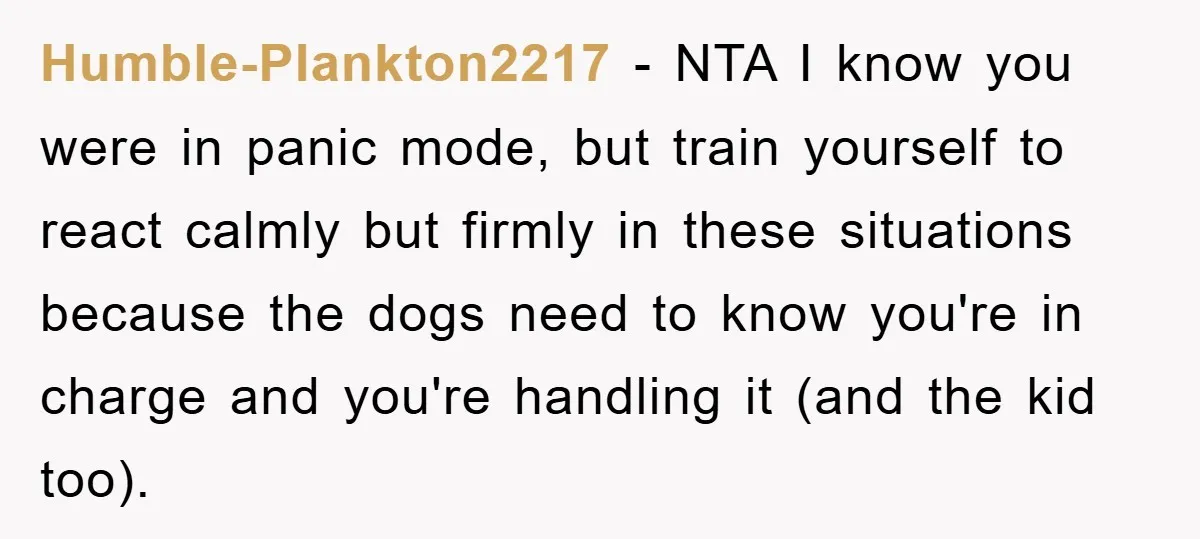 Humble-Plankton2217 − NTA I know you were in panic mode, but train yourself to react calmly but firmly in these situations because the dogs need to know you're in charge...