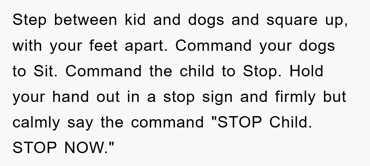 Step between kid and dogs and square up, with your feet apart. Command your dogs to Sit. Command the child to Stop. Hold your hand out in a stop sign...