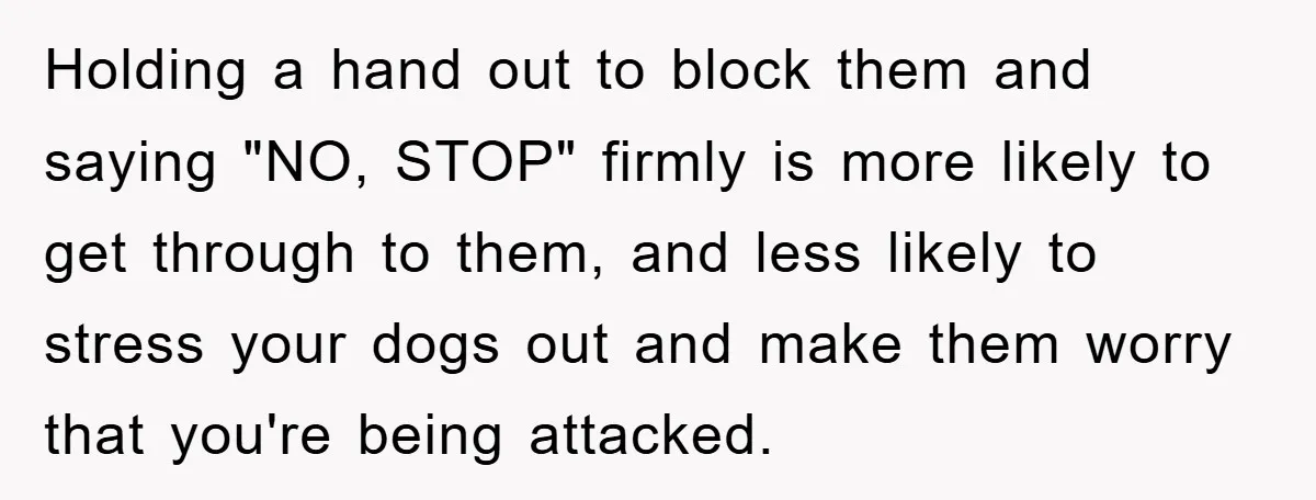 Holding a hand out to block them and saying "NO, STOP" firmly is more likely to get through to them, and less likely to stress your dogs out and make...