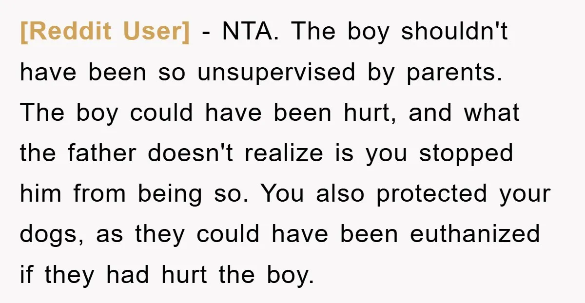 [Reddit User] − NTA. The boy shouldn't have been so unsupervised by parents. The boy could have been hurt, and what the father doesn't realize is you stopped him from...