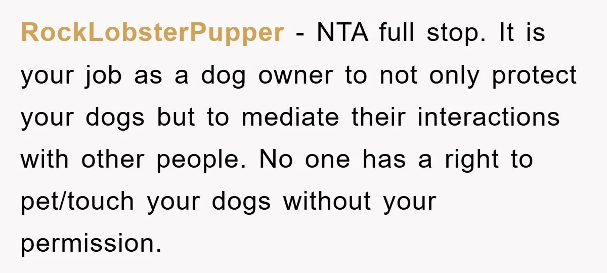 RockLobsterPupper − NTA full stop. It is your job as a dog owner to not only protect your dogs but to mediate their interactions with other people. No one has...