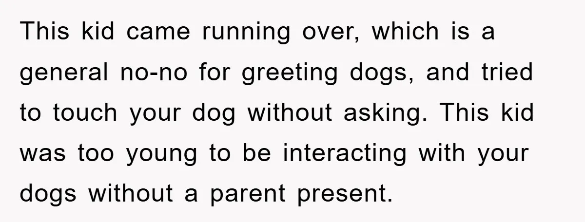 This kid came running over, which is a general no-no for greeting dogs, and tried to touch your dog without asking. This kid was too young to be interacting with...