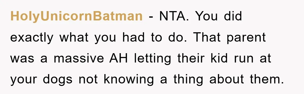 HolyUnicornBatman − NTA. You did exactly what you had to do. That parent was a massive AH letting their kid run at your dogs not knowing a thing about them.