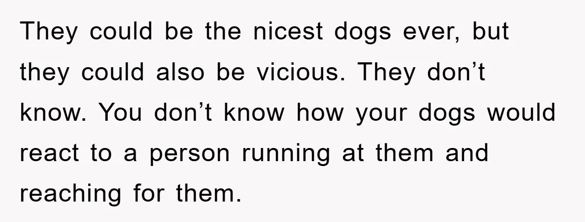 They could be the nicest dogs ever, but they could also be vicious. They don’t know. You don’t know how your dogs would react to a person running at them...