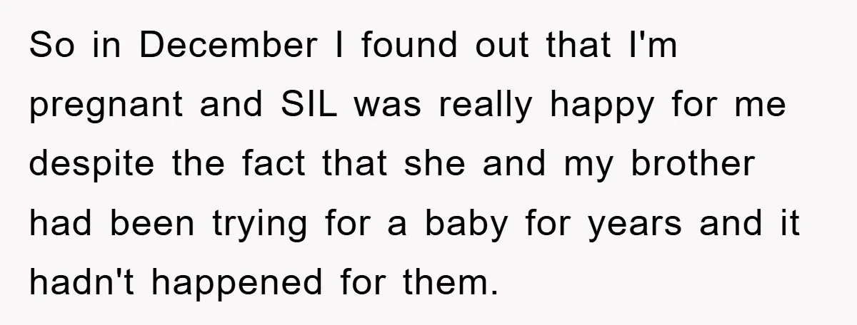 So in December I found out that I'm pregnant and SIL was really happy for me despite the fact that she and my brother had been trying for a baby...