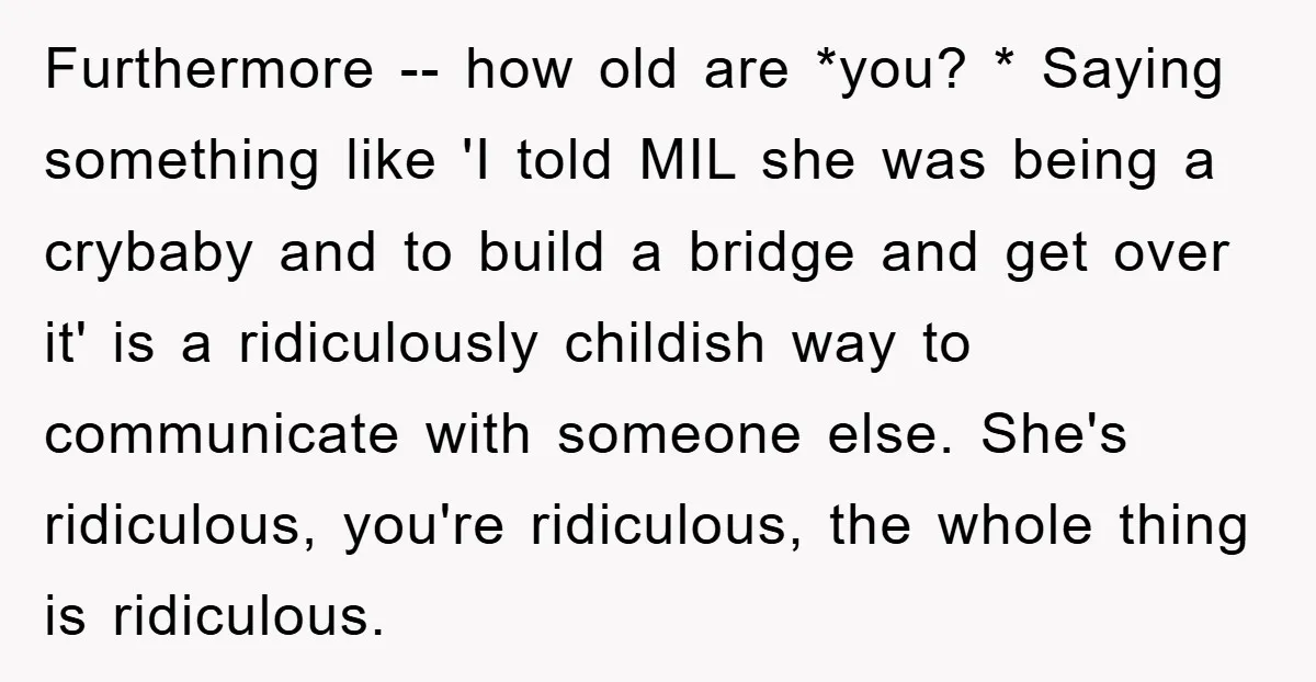 Furthermore -- how old are *you? * Saying something like 'I told MIL she was being a crybaby and to build a bridge and get over it' is a ridiculously...