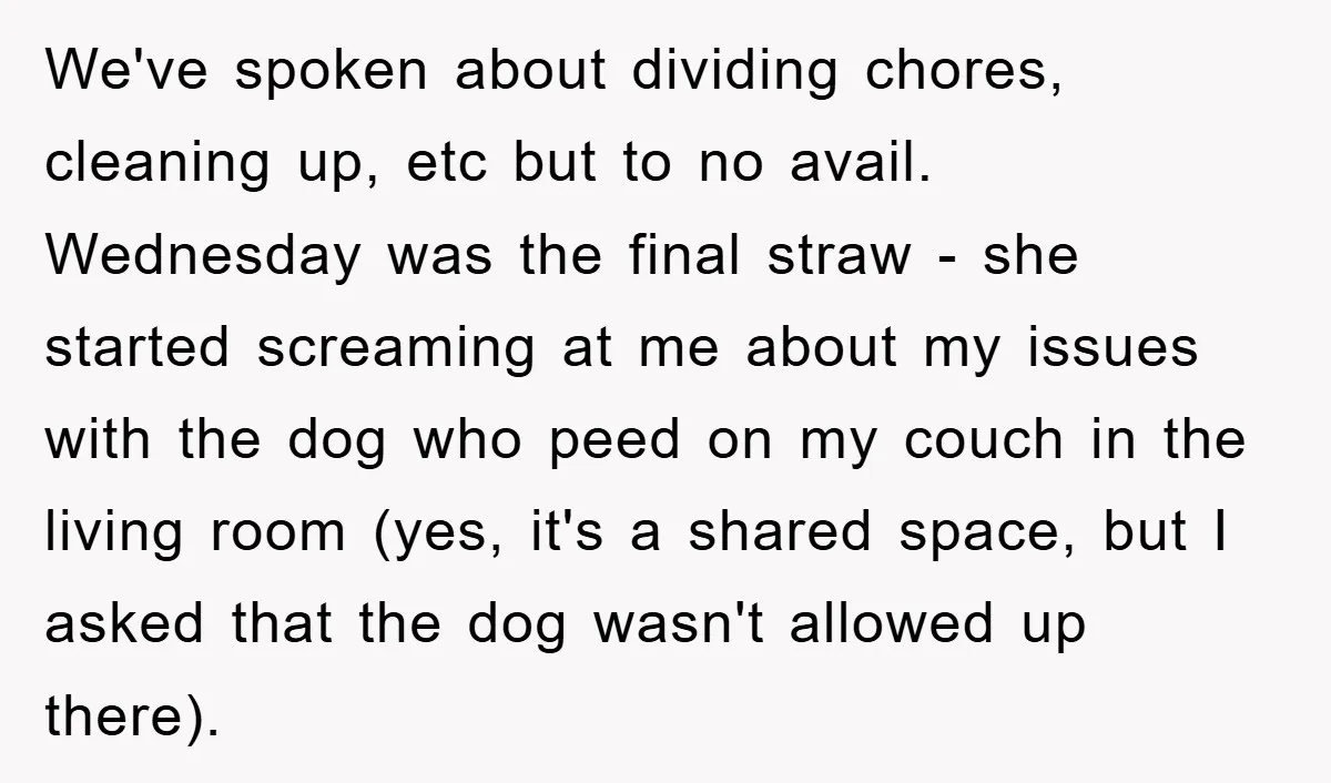 We've spoken about dividing chores, cleaning up, etc but to no avail. Wednesday was the final straw - she started screaming at me about my issues with the dog who...