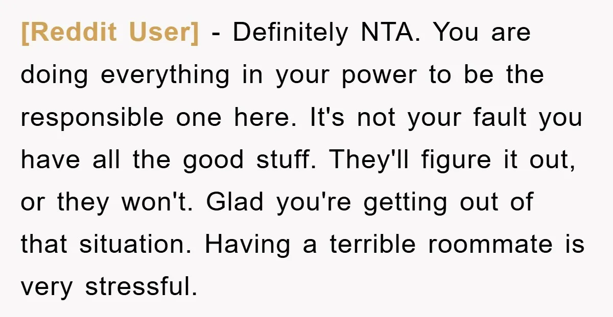 [Reddit User] − Definitely NTA. You are doing everything in your power to be the responsible one here. It's not your fault you have all the good stuff. They'll figure...