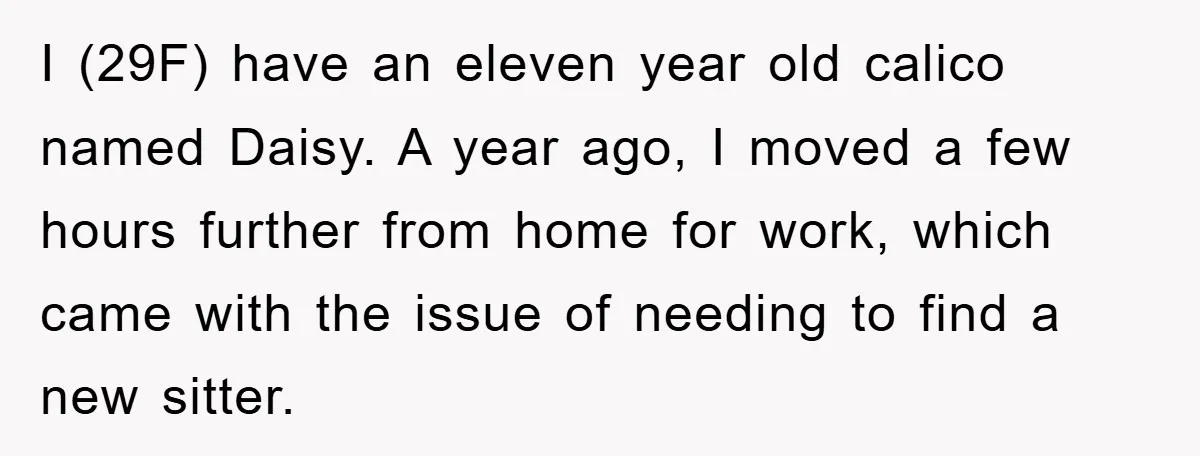I (29F) have an eleven year old calico named Daisy. A year ago, I moved a few hours further from home for work, which came with the issue of needing...