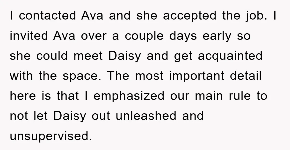 I contacted Ava and she accepted the job. I invited Ava over a couple days early so she could meet Daisy and get acquainted with the space. The most important...
