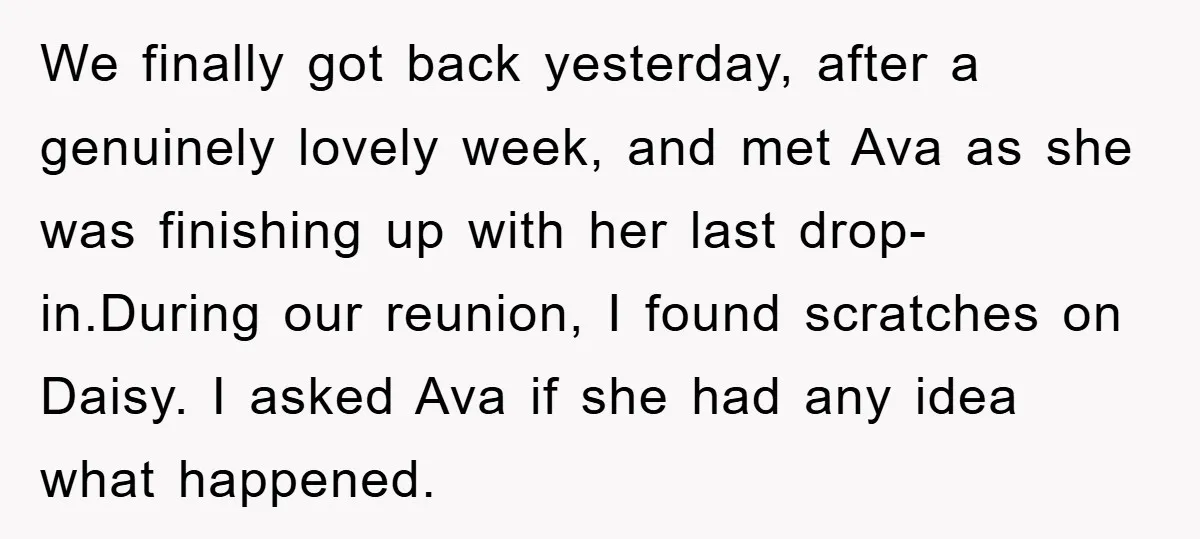 We finally got back yesterday, after a genuinely lovely week, and met Ava as she was finishing up with her last drop-in.During our reunion, I found scratches on Daisy. I...