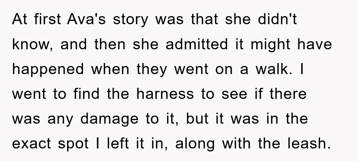 At first Ava's story was that she didn't know, and then she admitted it might have happened when they went on a walk. I went to find the harness to...