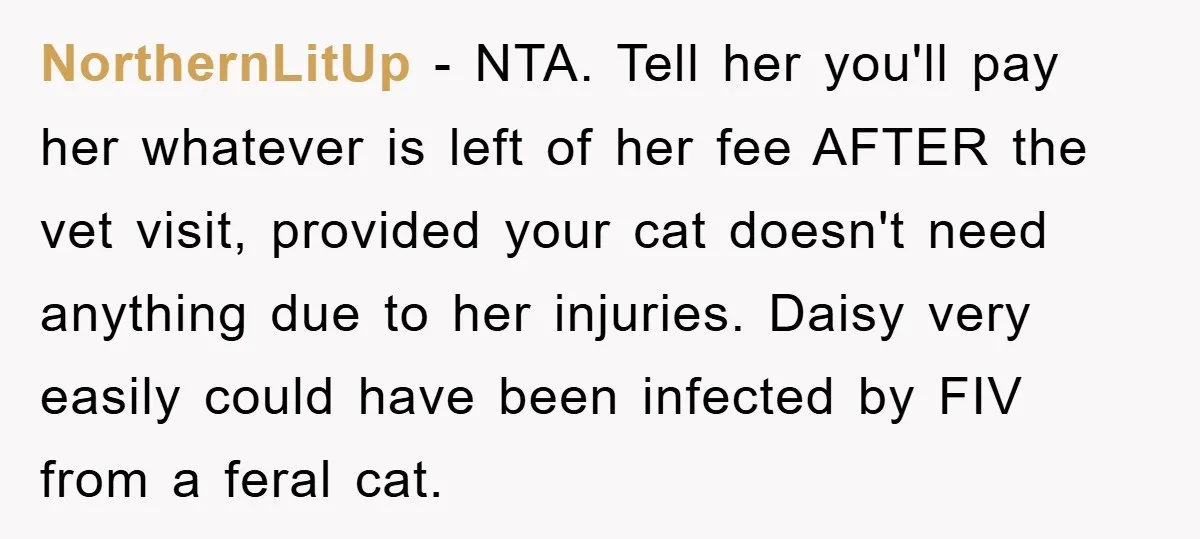 NorthernLitUp − NTA. Tell her you'll pay her whatever is left of her fee AFTER the vet visit, provided your cat doesn't need anything due to her injuries. Daisy very...