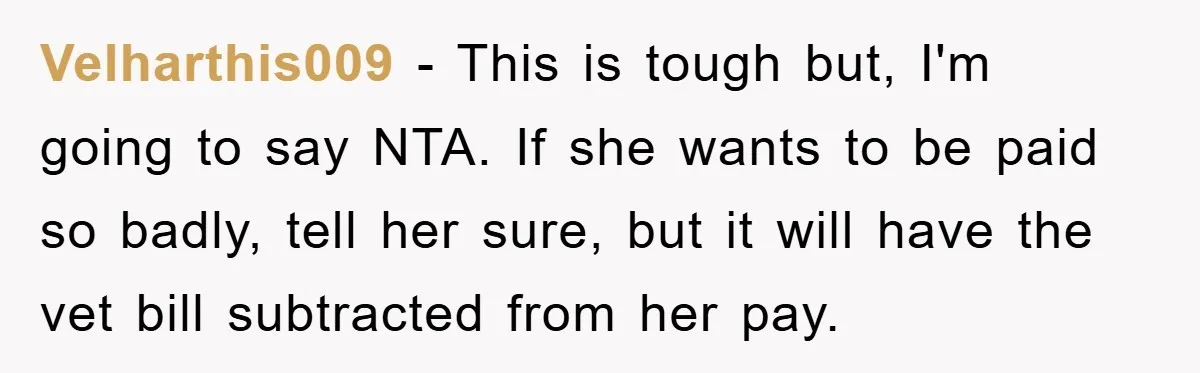 Velharthis009 − This is tough but, I'm going to say NTA. If she wants to be paid so badly, tell her sure, but it will have the vet bill subtracted...