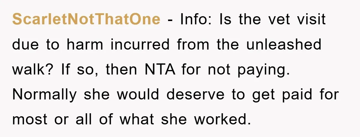 ScarletNotThatOne − Info: Is the vet visit due to harm incurred from the unleashed walk? If so, then NTA for not paying. Normally she would deserve to get paid for...