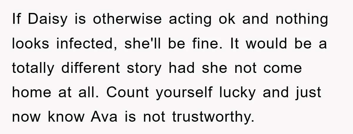If Daisy is otherwise acting ok and nothing looks infected, she'll be fine. It would be a totally different story had she not come home at all. Count yourself lucky...