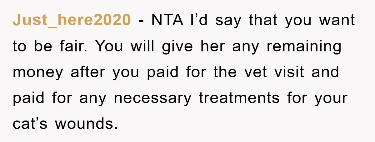 Just_here2020 − NTA I’d say that you want to be fair. You will give her any remaining money after you paid for the vet visit and paid for any necessary...