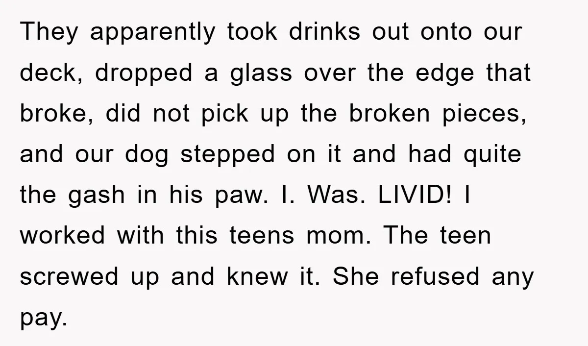 They apparently took drinks out onto our deck, dropped a glass over the edge that broke, did not pick up the broken pieces, and our dog stepped on it and...