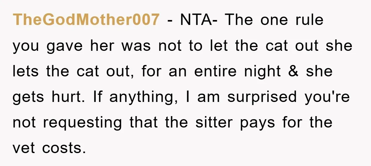 TheGodMother007 − NTA- The one rule you gave her was not to let the cat out she lets the cat out, for an entire night & she gets hurt. If...