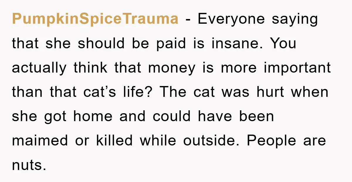 PumpkinSpiceTrauma − Everyone saying that she should be paid is insane. You actually think that money is more important than that cat’s life? The cat was hurt when she got...