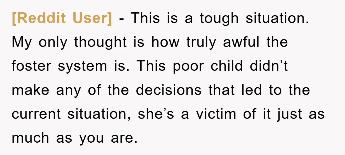 [Reddit User] − This is a tough situation. My only thought is how truly awful the foster system is. This poor child didn’t make any of the decisions that led...