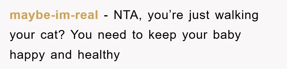 maybe-im-real − NTA, you’re just walking your cat? You need to keep your baby happy and healthy