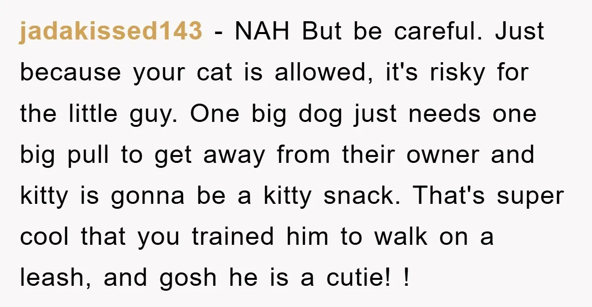 jadakissed143 − NAH But be careful. Just because your cat is allowed, it's risky for the little guy. One big dog just needs one big pull to get away from...