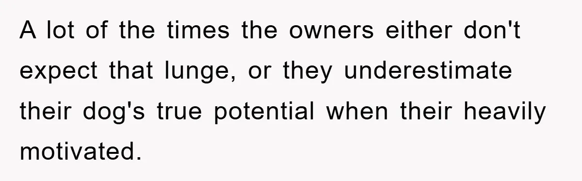 A lot of the times the owners either don't expect that lunge, or they underestimate their dog's true potential when their heavily motivated.